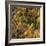 Fall foliage, Stevens Pass Area, WA.-Michel Hersen-Framed Photographic Print