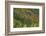 Fall foliage, Stevens Pass Area, WA.-Michel Hersen-Framed Photographic Print