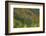 Fall foliage, Stevens Pass Area, WA.-Michel Hersen-Framed Photographic Print