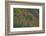 Fall foliage, Stevens Pass Area, WA.-Michel Hersen-Framed Photographic Print