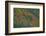 Fall foliage, Stevens Pass Area, WA.-Michel Hersen-Framed Photographic Print