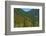 Fall foliage, Stevens Pass, Wenatchee National Forest, Washington State, USA-Michel Hersen-Framed Photographic Print