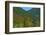 Fall foliage, Stevens Pass, Wenatchee National Forest, Washington State, USA-Michel Hersen-Framed Photographic Print