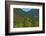 Fall foliage, Stevens Pass, Wenatchee National Forest, Washington State, USA-Michel Hersen-Framed Photographic Print