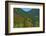 Fall foliage, Stevens Pass, Wenatchee National Forest, Washington State, USA-Michel Hersen-Framed Photographic Print