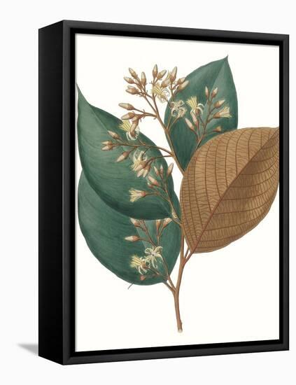 Fall Foliage V-Unknown-Framed Stretched Canvas