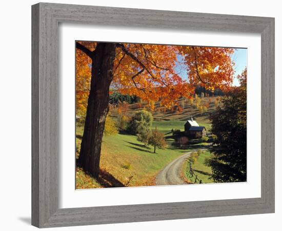 Fall Foliage, Vermont, USA-Gavin Hellier-Framed Photographic Print