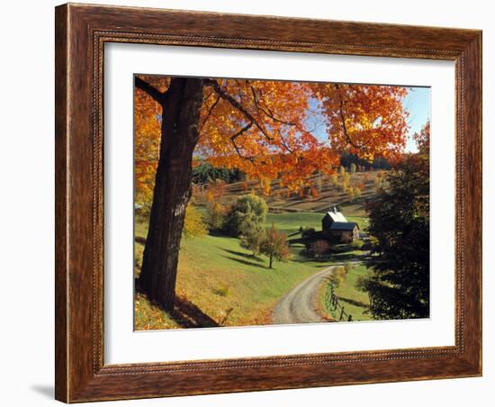 Fall Foliage, Vermont, USA-Gavin Hellier-Framed Photographic Print