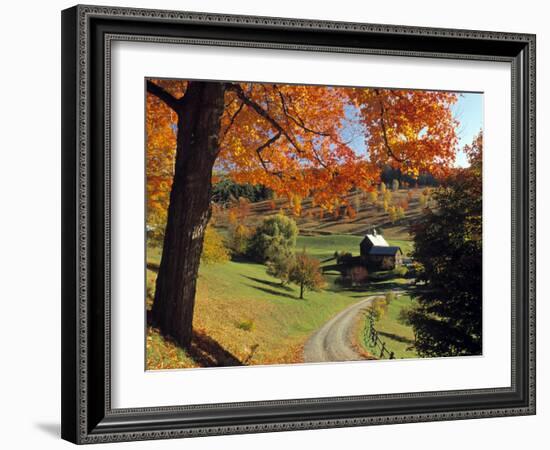 Fall Foliage, Vermont, USA-Gavin Hellier-Framed Photographic Print