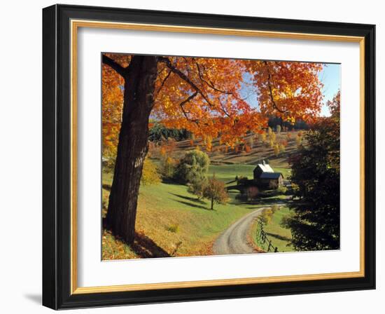 Fall Foliage, Vermont, USA-Gavin Hellier-Framed Photographic Print