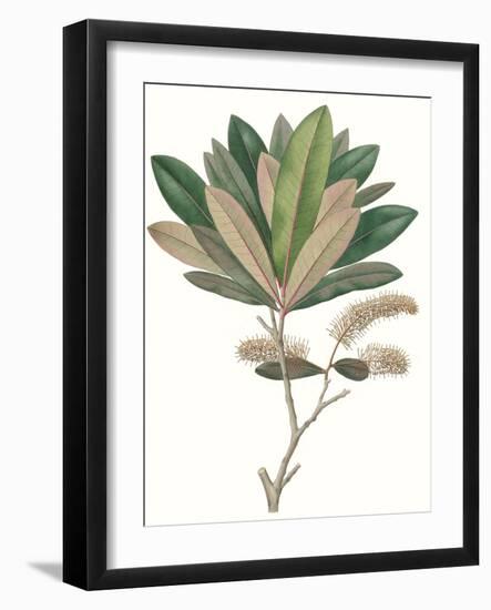 Fall Foliage VI-Unknown-Framed Art Print