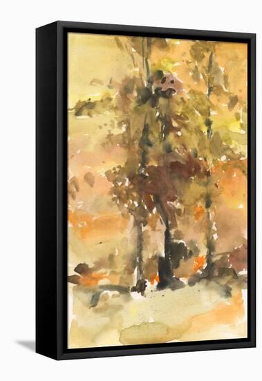 Fall Foliage Watercolor I-Samuel Dixon-Framed Stretched Canvas