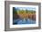 Fall foliage, White River Area, Wenatchee National Forest, WA.-Michel Hersen-Framed Photographic Print