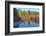 Fall foliage, White River Area, Wenatchee National Forest, WA.-Michel Hersen-Framed Photographic Print