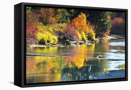 Fall foliage, White River Area, Wenatchee National Forest, WA.-Michel Hersen-Framed Premier Image Canvas