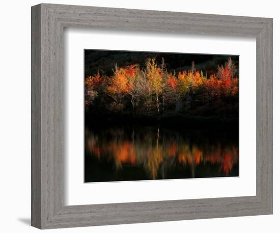 Fall Foliage with Reflections, New Hampshire, USA-Joanne Wells-Framed Photographic Print