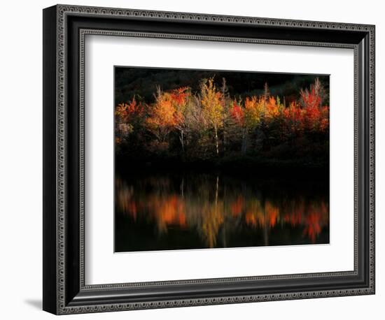 Fall Foliage with Reflections, New Hampshire, USA-Joanne Wells-Framed Photographic Print