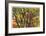 Fall Foliage-Donald Paulson-Framed Giclee Print