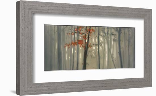 Fall Foliage-Seth Garrett-Framed Art Print