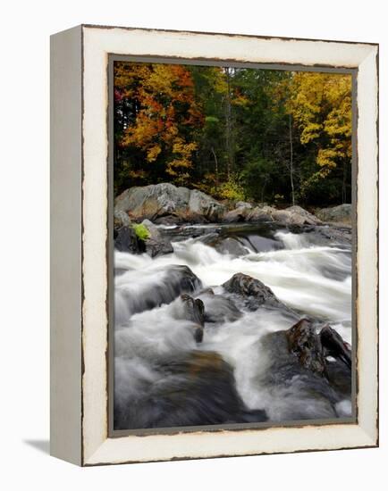 Fall Foliage-Jim Cole-Framed Premier Image Canvas