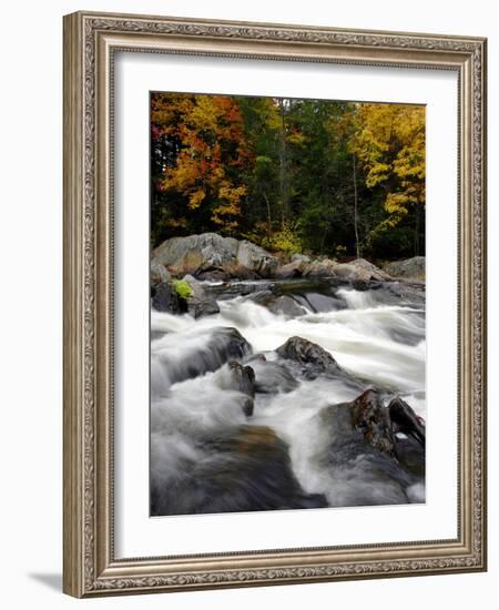 Fall Foliage-Jim Cole-Framed Photographic Print