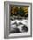 Fall Foliage-Jim Cole-Framed Photographic Print