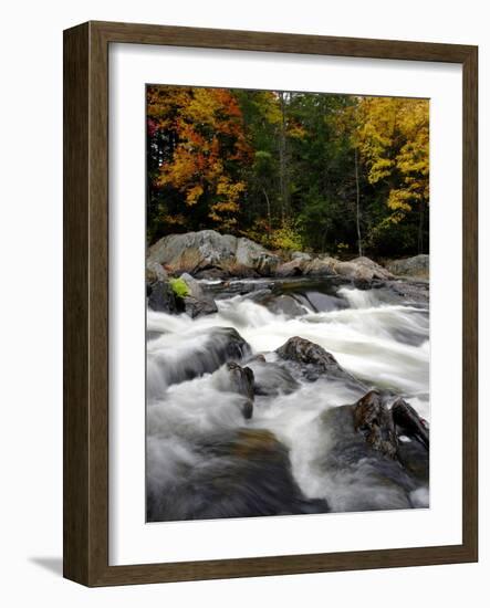 Fall Foliage-Jim Cole-Framed Photographic Print