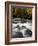 Fall Foliage-Jim Cole-Framed Photographic Print