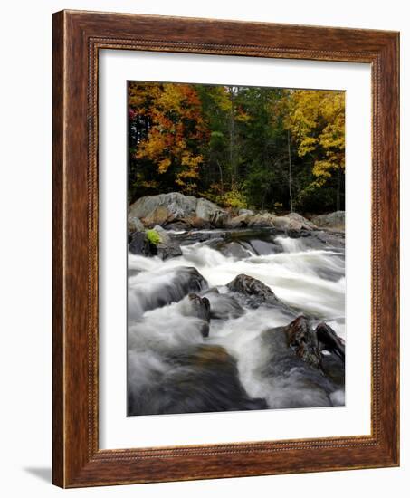 Fall Foliage-Jim Cole-Framed Photographic Print