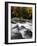 Fall Foliage-Jim Cole-Framed Photographic Print