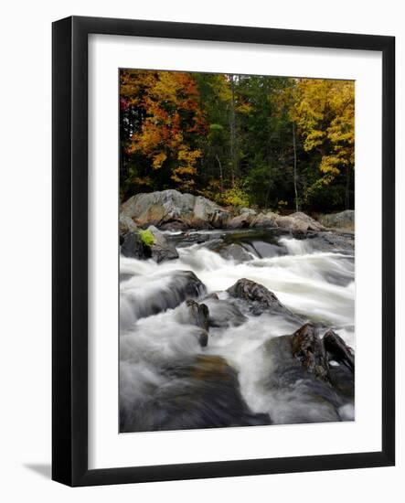 Fall Foliage-Jim Cole-Framed Photographic Print