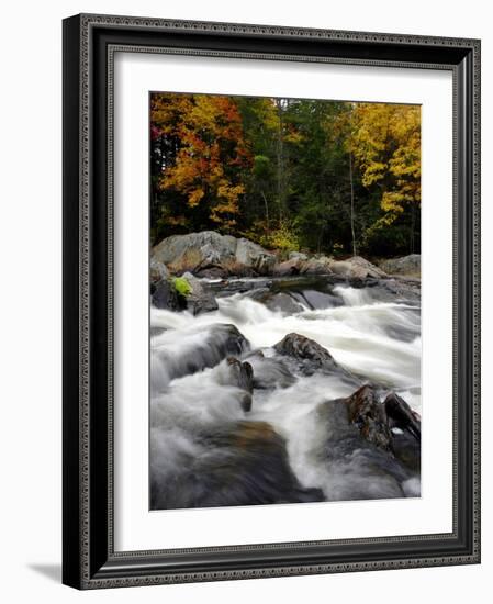 Fall Foliage-Jim Cole-Framed Photographic Print