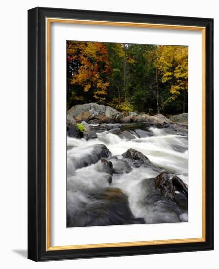 Fall Foliage-Jim Cole-Framed Photographic Print