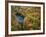 Fall forest and Ha Ha Tonka Spring, Ha Ha Tonka State Park, Missouri, USA-Charles Gurche-Framed Photographic Print