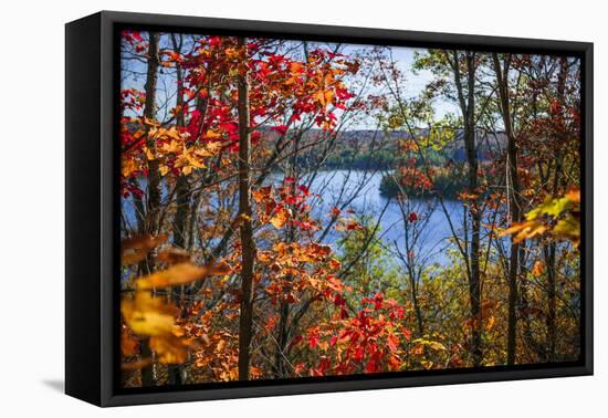 Fall Forest Framing Scenic Autumn Lake View from Lookout Trail in Algonquin Park, Ontario, Canada.-elenathewise-Framed Premier Image Canvas