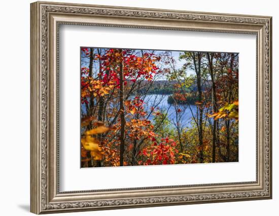 Fall Forest Framing Scenic Autumn Lake View from Lookout Trail in Algonquin Park, Ontario, Canada.-elenathewise-Framed Photographic Print