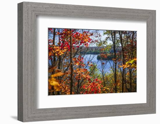 Fall Forest Framing Scenic Autumn Lake View from Lookout Trail in Algonquin Park, Ontario, Canada.-elenathewise-Framed Photographic Print