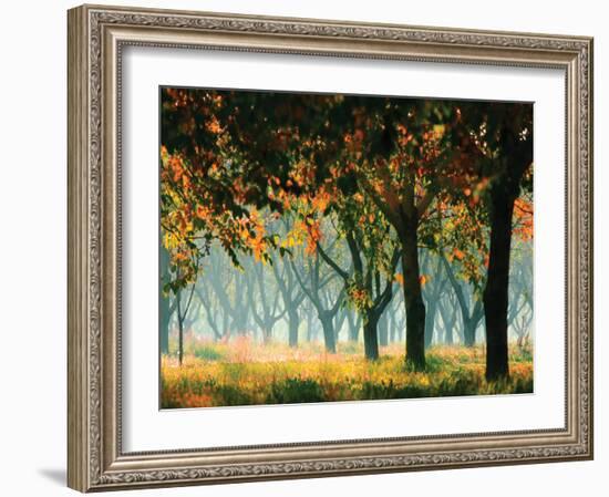 Fall Forest-Zsolnai-Framed Art Print