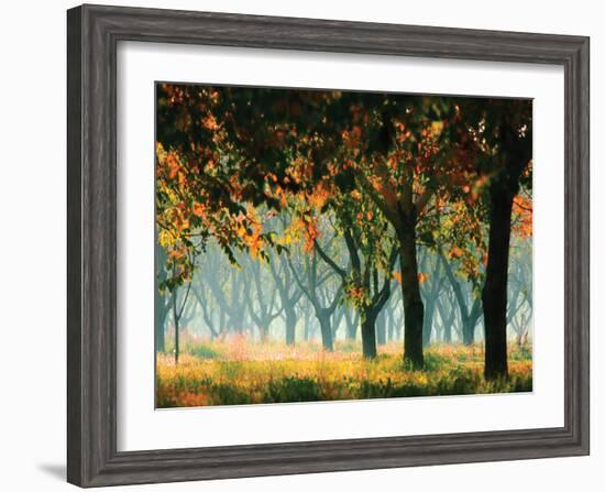 Fall Forest-Zsolnai-Framed Art Print