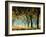 Fall Forest-Zsolnai-Framed Art Print