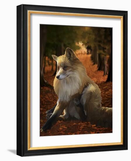 Fall Fox-Tina Lavoie-Framed Giclee Print