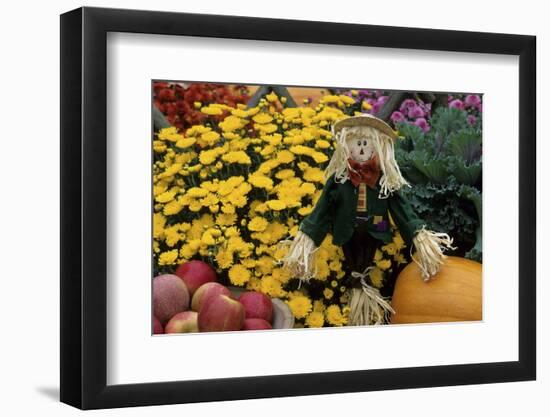 Fall Garden Display, Marion County, Illinois-Richard and Susan Day-Framed Photographic Print