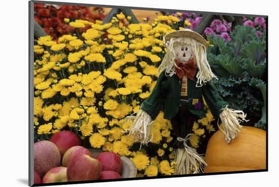 Fall Garden Display, Marion County, Illinois-Richard and Susan Day-Mounted Photographic Print