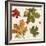 Fall Garden Step 04A-Katie Pertiet-Framed Art Print