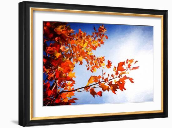 Fall Gifts-Philippe Sainte-Laudy-Framed Photographic Print