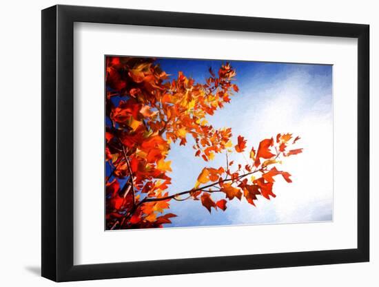 Fall Gifts-Philippe Sainte-Laudy-Framed Photographic Print