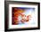 Fall Gifts-Philippe Sainte-Laudy-Framed Photographic Print