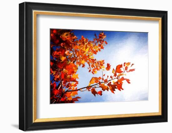 Fall Gifts-Philippe Sainte-Laudy-Framed Photographic Print