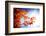 Fall Gifts-Philippe Sainte-Laudy-Framed Photographic Print