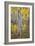 Fall Grove-Joe Cornish-Framed Giclee Print